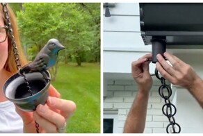 Кусари-дои — японские дождевые цепи