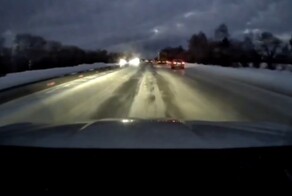 Убегала от волка и попала под машину