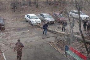 Дерево упало на девушку в Оренбурге