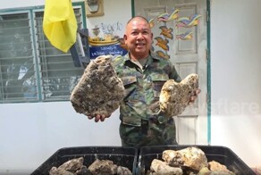 Таец продает 55&nbsp;килограммов затвердевшей рвоты кашалота