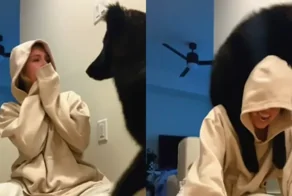 9-месячный щенок удивил всех своими гигантскими размерами