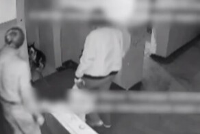 Мужчина несколько раз ударил щенка и теперь он предстанет перед судом