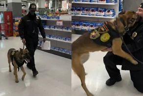 Служебный пёс узнал своего первого хозяина и моментально растаял