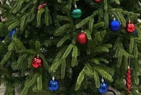 Ёлка против шариата: как один сосед боролся с главным символом Нового года в московском подъезде