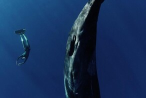 Подводные фото