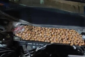 В Китае мужчина нашел под капотом автомобиля 18 кг фундука