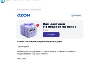 OZON, это что за ... ?