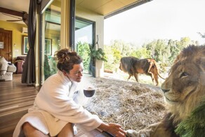 Отель в Австралии, где постояльцы живут бок о бок с дикими животными