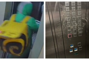 Курьер атаковал лифт в Ленинградской области