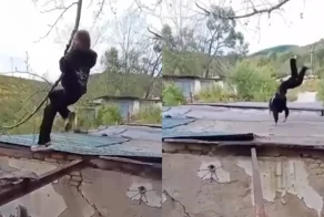 На крыше гаража: падение, которого никто не ожидал