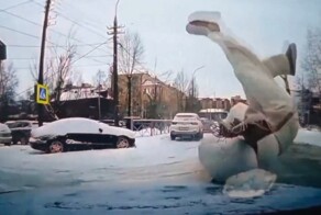 Замаскировалась под сугроб