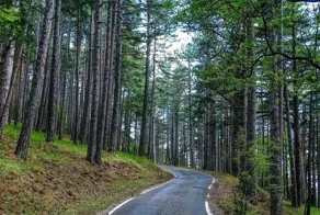 Самые красивые дороги Крыма