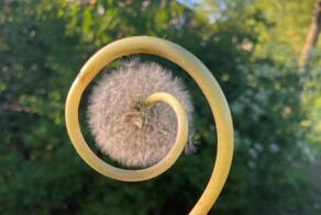 20 невероятных находок, которые стали результатом чистой случайности