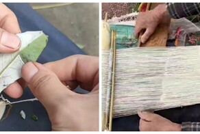 Ремесло «огненной травы»: как в Китае превращают пух герберы в прочную ткань