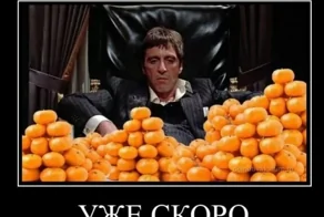 Демотиваторы для всех