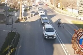 Сестра "перевела" брата через дорогу