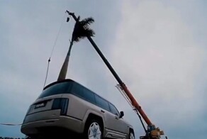 Китайцы трижды уронили дерево на премиальный внедорожник, чтобы продемонстрировать его прочность