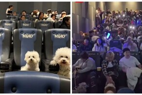В кинотеатрах в Китае зрителей пускали в зал с собаками