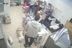 В московской ветклинике медики не спешили помогать умирающей собаке