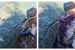 Кладоискателям улыбнулась удача