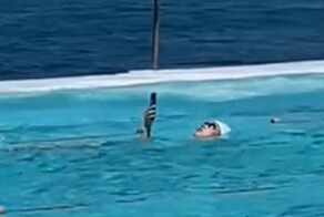 "Самое антиутопичное зрелище": женщина устроила заплыв с телефоном в руке