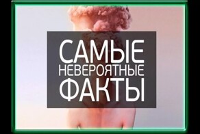 20+ настолько невероятных фактов, в которые трудно поверить, но они абсолютно реальны!