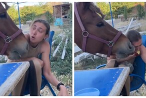 Как девушка и лошадь делили яблоко