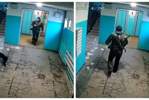«Даже страшно представить, что он дома творит»: мужчина избил свою таксу в подъезде