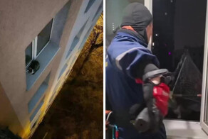 Везучий Маркиз: в Москве спасли кота, упавшего с высоты