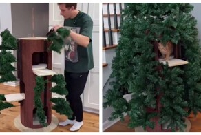 Новогодняя елка для котов