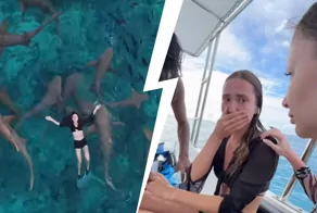 На Мальдивах акула чуть не откусила пальцы девушке