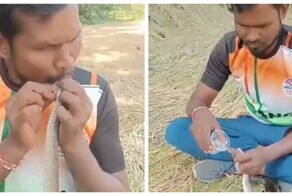 Индиец реанимировал змею, которую ударило током
