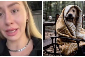 Собака запуталась в пледе: паника хозяйки из-за "маленькой" проблемы