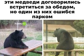 Скрины из соцсетей