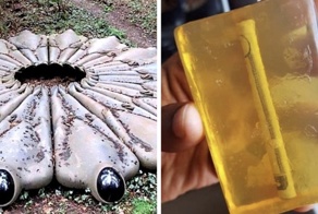 Вещи, которые люди нашли случайно