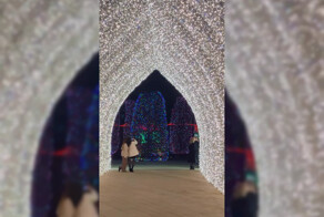 Световой тоннель и бриллиантовая подсветка: парк в Краснодаре засиял тысячами новогодних огней