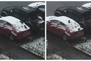 В Питере вороны устроили горки на заснеженной машине