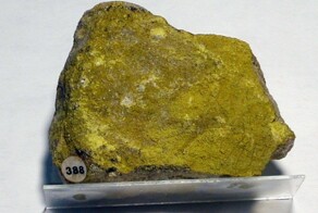 Уютная ловушка: как дом учёного превратился в вечный памятник эпохи радиевой лихорадки