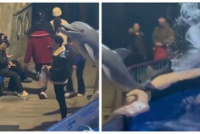 Белуха в китайском океанариуме окатила водой курильщика, проигнорировавшего запрет