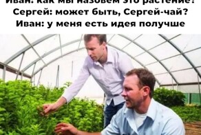 Смешные картинки