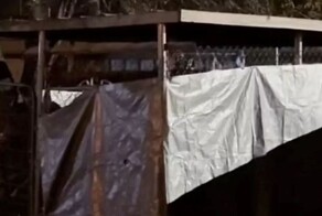 Американка держала приёмную дочь в собачьем вольере