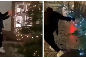 В Германии приезжий повалил новогоднюю ёлку и сорвал украшения