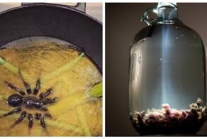 Музей отвратительной еды