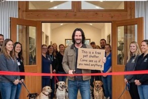 Киану Ривз открыл крупнейший в мире бесплатный приют для кошек и собак