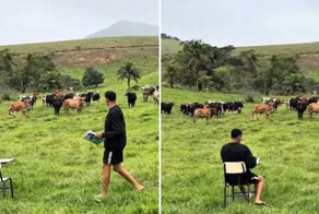 Перекличка на пастбище