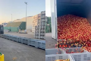 Простой и эффективный метод разгрузки яблок