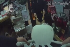 Олениха застряла в стуле в магазине подарков