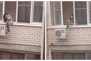 В Краснодаре женщина "воспитывала" кошку, свесив её с балкона 3-го этажа