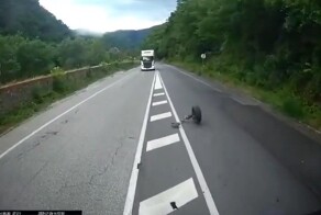 Пошла на взлёт