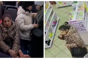 В Омске цыганка спровоцировала скандал в троллейбусе из-за отказа платить за проезд
